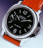 PAM 00031
