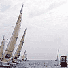 Lors de La Solitaire Afflelou Le Figaro 2006, Hublot, chronom�treur officiel, donne la ligne de d�part.