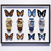 L�art de l��mail chez Piaget