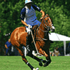 Novembre 2010, une nouvelle saison de polo en Argentine pour Jaeger-LeCoultre - Reverso c�l�brera son 80e Anniversaire